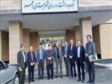 بازدید